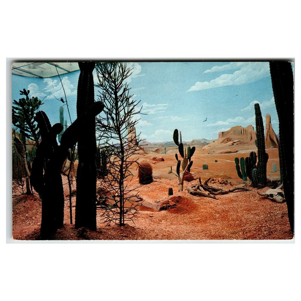 Pittsburgh PA Conservatory Aviary Desert Diorama Postcard 1950s Roland Hawkins